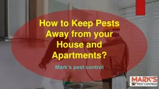 How to Keep Pests Away from your House | Pest Control Tips