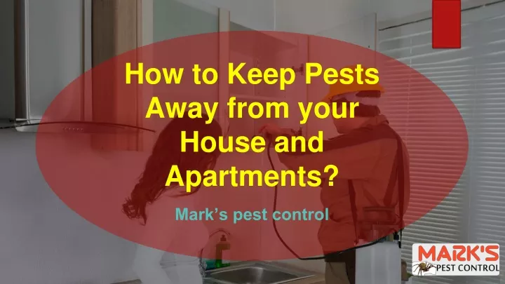 how to keep pests away from your house