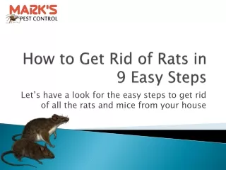 How to Get Rid of Rats | Rat Control Tips