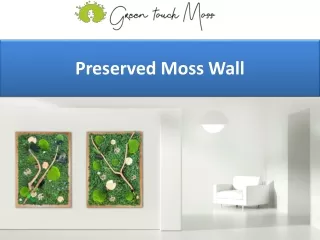 preserved moss wall