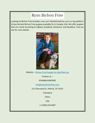 Bichon Frise Puppies for Sale Near Me  Ryanbichonfrise.com