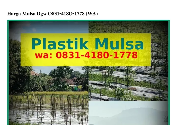 harga mulsa dgw o831 418o 1778 wa