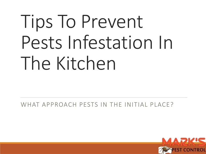 tips to prevent pests infestation in the kitchen