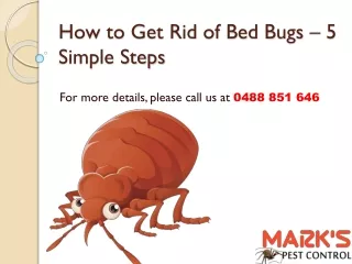 How to Get Rid of Bed Bugs – 5 Simple Steps