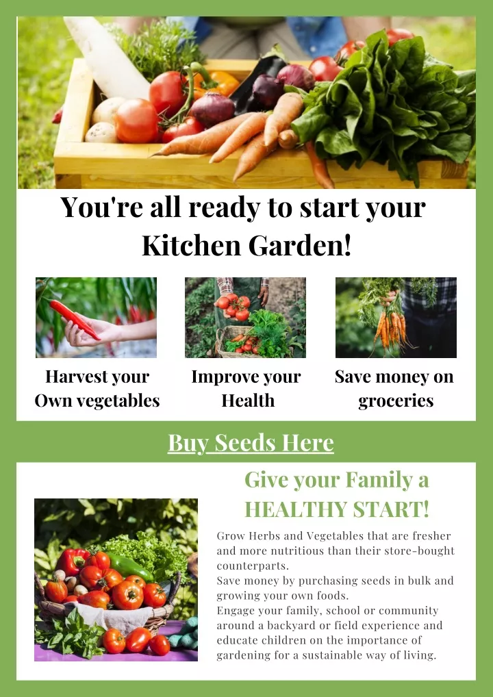 you re all ready to start your kitchen garden