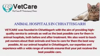 Animal Hospitals in Chhattisgarhh