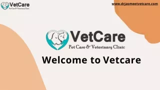 MULTI-SPECIALTY VETERINARY HOSPITAL  IN CHHATTISGARH