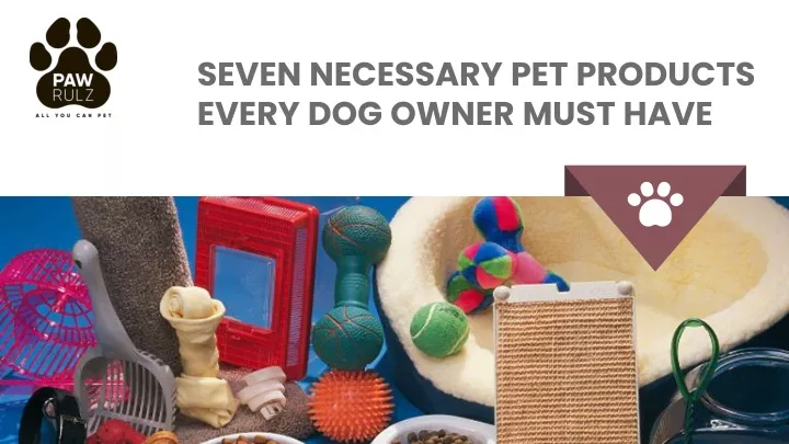 seven necessary pet products every dog owner must