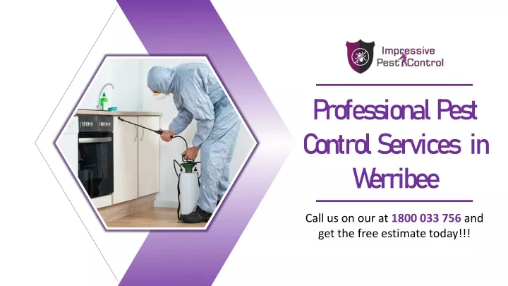 professional pest c ontrol services in w erribee