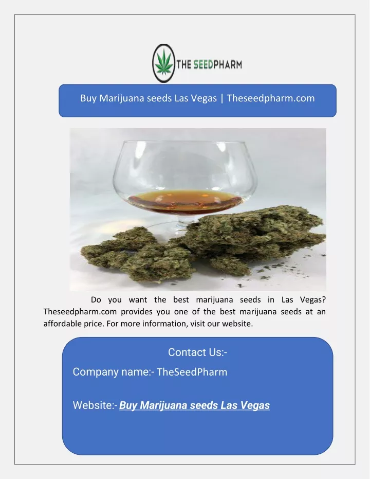 buy marijuana seeds las vegas theseedpharm com