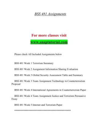 bss 481 assignments