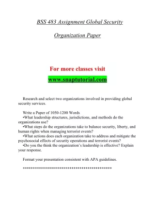 bss 483 assignment global security