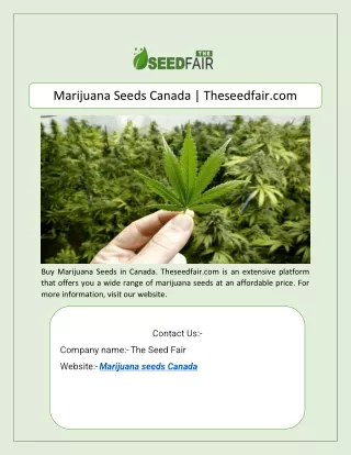 Marijuana Seeds Canada | Theseedfair.com