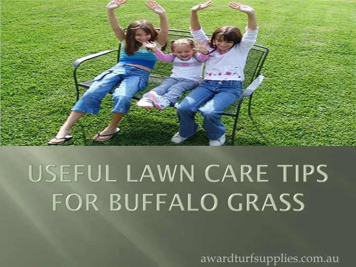 useful lawn care tips for buffalo grass