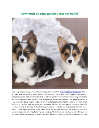 How much do corgi puppies cost normally?