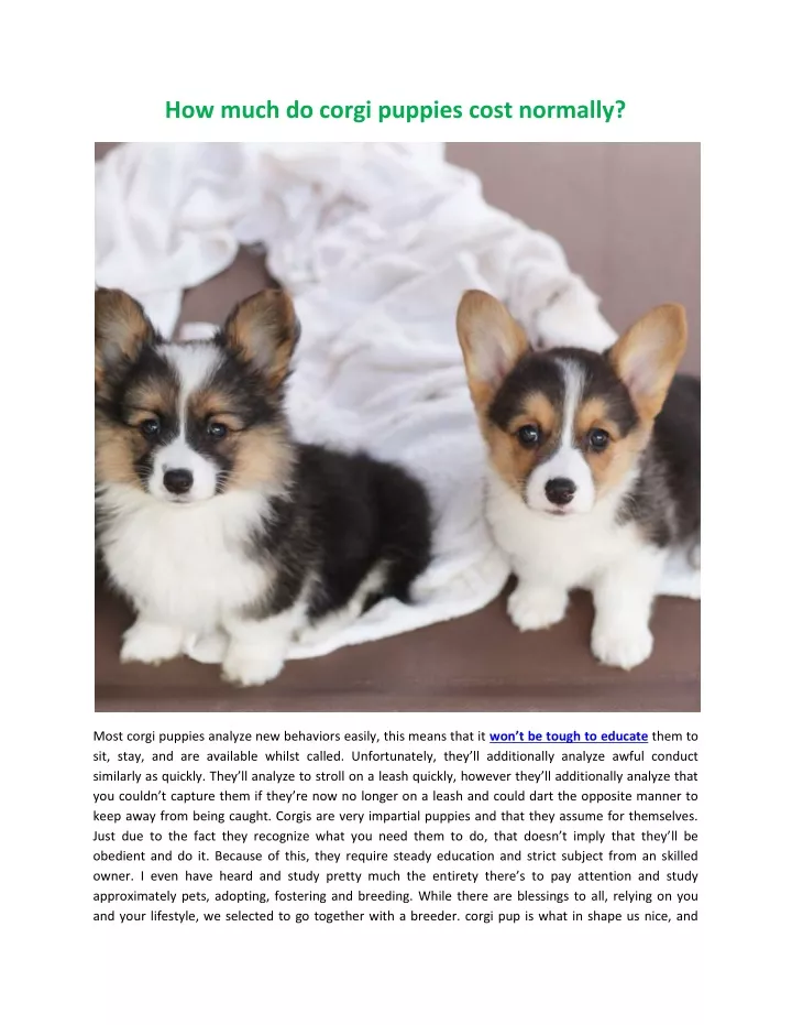 how much do corgi puppies cost normally