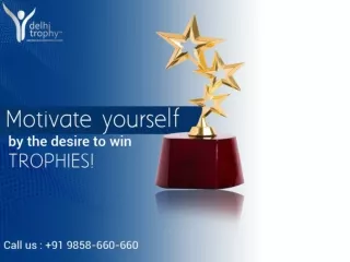 Delhi Trophy - Buy Trophies, Mementos, Awards, Corporate Gift Online