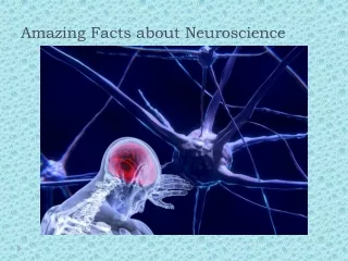 Amazing Facts about Neuroscience