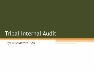 tribal internal audit