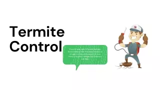 Are You Looking for the Best Termite Control Company in Roanoke Virginia?
