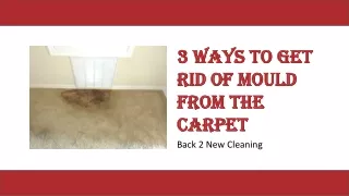 3 Ways To Get Rid Of Mould From The Carpet | Best Cleaning Services | Back 2 New