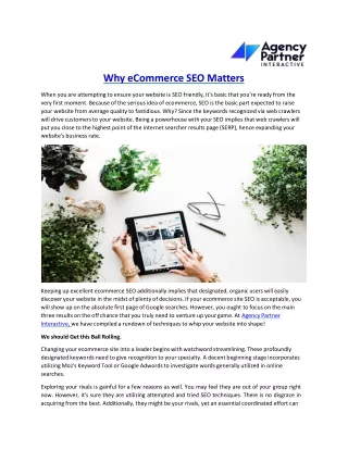why ecommerce seo matters when you are attempting