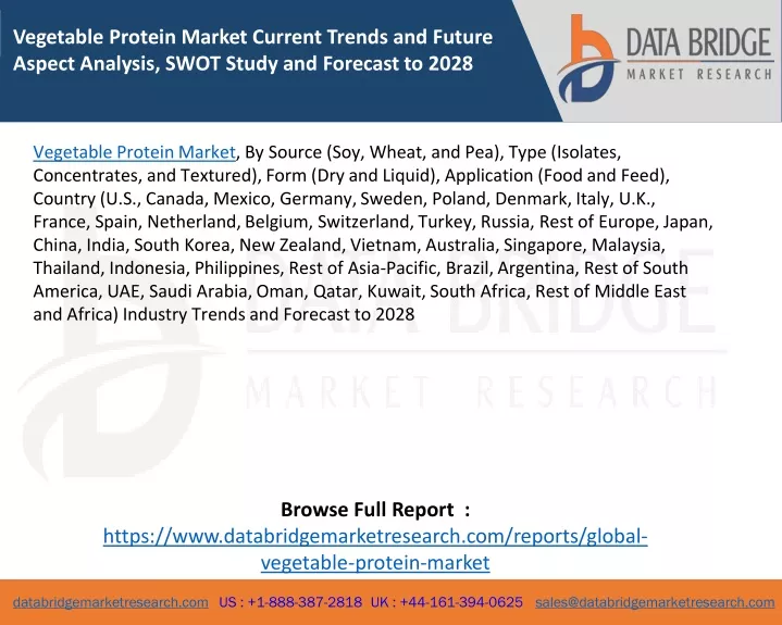 vegetable protein market current trends