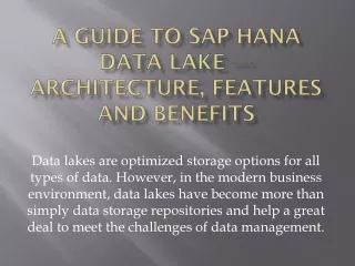 A Guide to SAP HANA Data Lake — Architecture, Features and Benefits