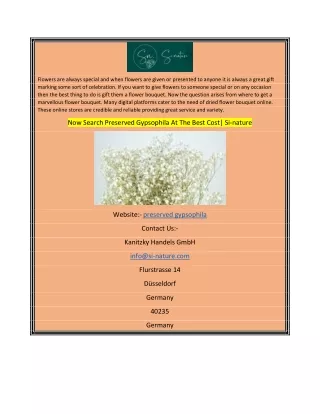 Now Search Preserved Gypsophila At The Best Cost Si-nature