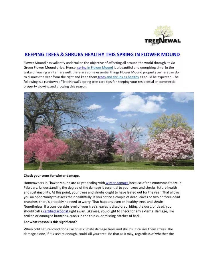 keeping trees shrubs healthy this spring