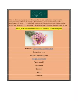 Kaufe jetzt Trockenblumen online zum besten Großhandelpreis
