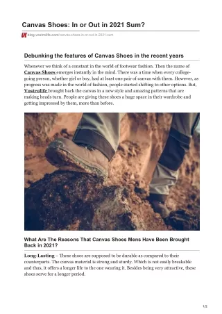 Canvas Shoes: In or Out in 2021 | Casual Shoes | Vostrolife