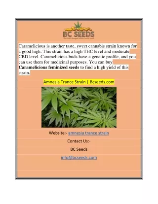 caramelicious is another taste sweet cannabis