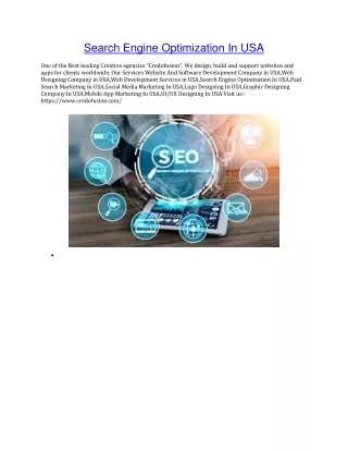 search engine optimization in usa one of the best