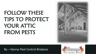 Follow These Tips To Protect Your Attic From Pests