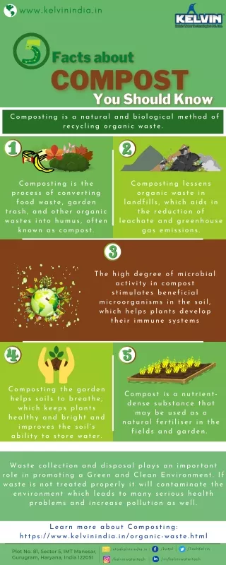 5 Facts about Compost You Should Know