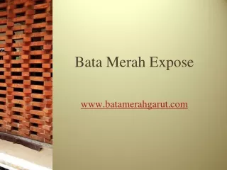 Apa itu Bata Merah Expose dan Kegunaannya?