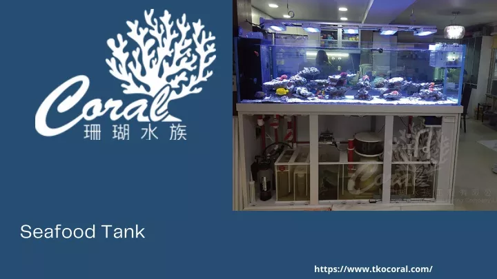 seafood tank