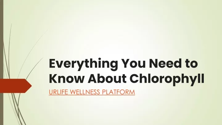 everything you need to know about chlorophyll