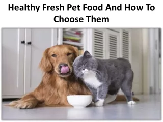 Healthy Fresh Pet Food And How To Choose Them
