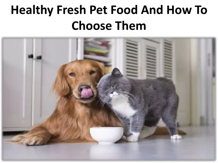 healthy fresh pet food and how to choose them