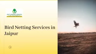 bird netting services in jaipur