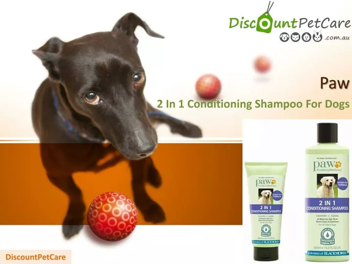 paw 2 in 1 conditioning shampoo for dogs