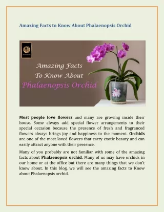 Amazing Facts to Learn About Phalaenopsis Orchid
