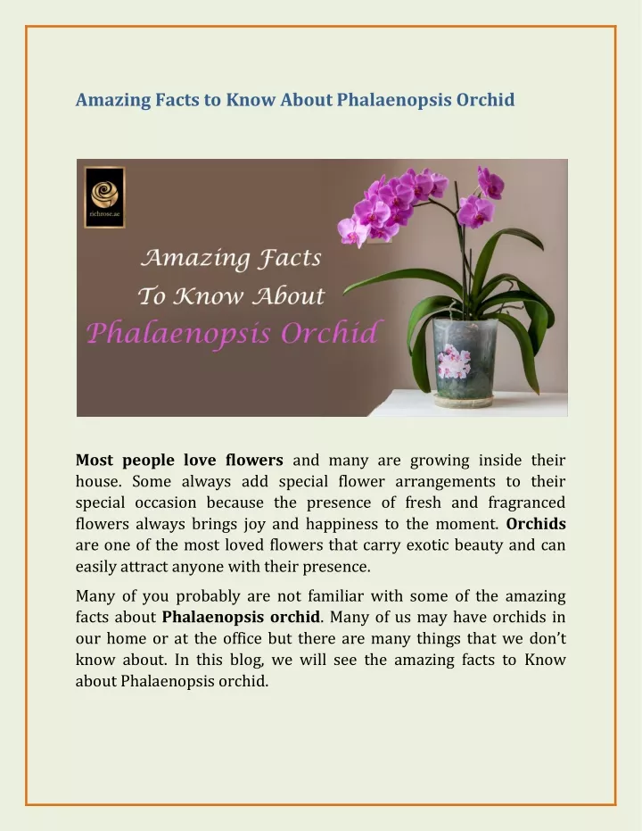 amazing facts to know about phalaenopsis orchid
