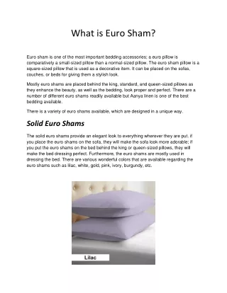 What is Euro Sham