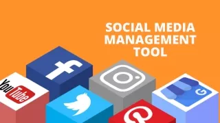 social media management tool