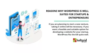 Reasons Why WordPress Is well suited for Startups & Entrepreneurs