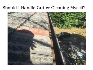 should i handle gutter cleaning myself