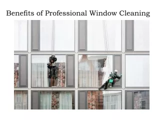 benefits of professional window cleaning